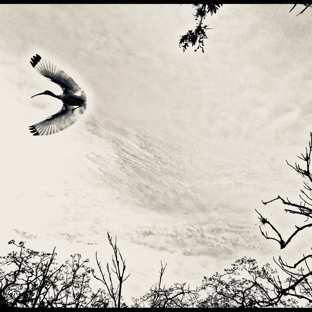 Meet your Posher, Luane